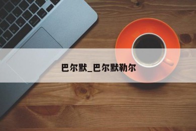 巴尔默_巴尔默勒尔