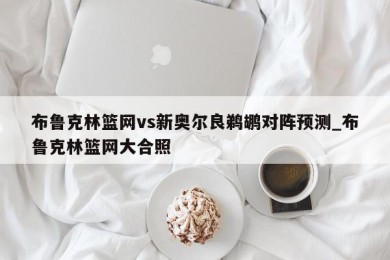 布鲁克林篮网vs新奥尔良鹈鹕对阵预测_布鲁克林篮网大合照