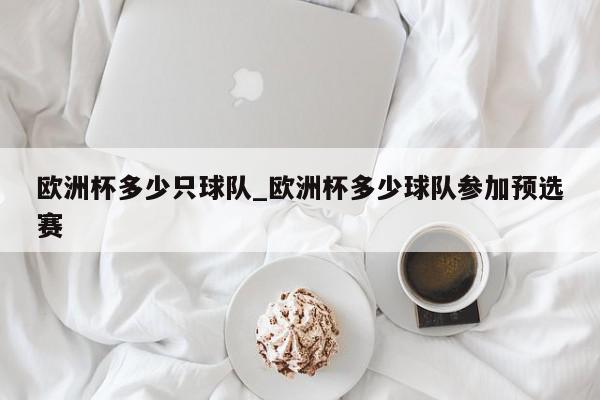 欧洲杯多少只球队_欧洲杯多少球队参加预选赛