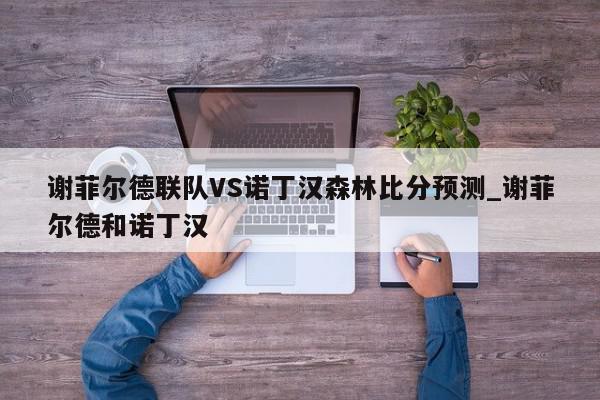 谢菲尔德联队VS诺丁汉森林比分预测_谢菲尔德和诺丁汉